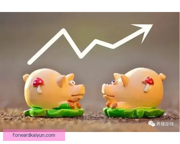 罗德里伤病恢复进展：近期状态回暖，复出时间表逐步清晰